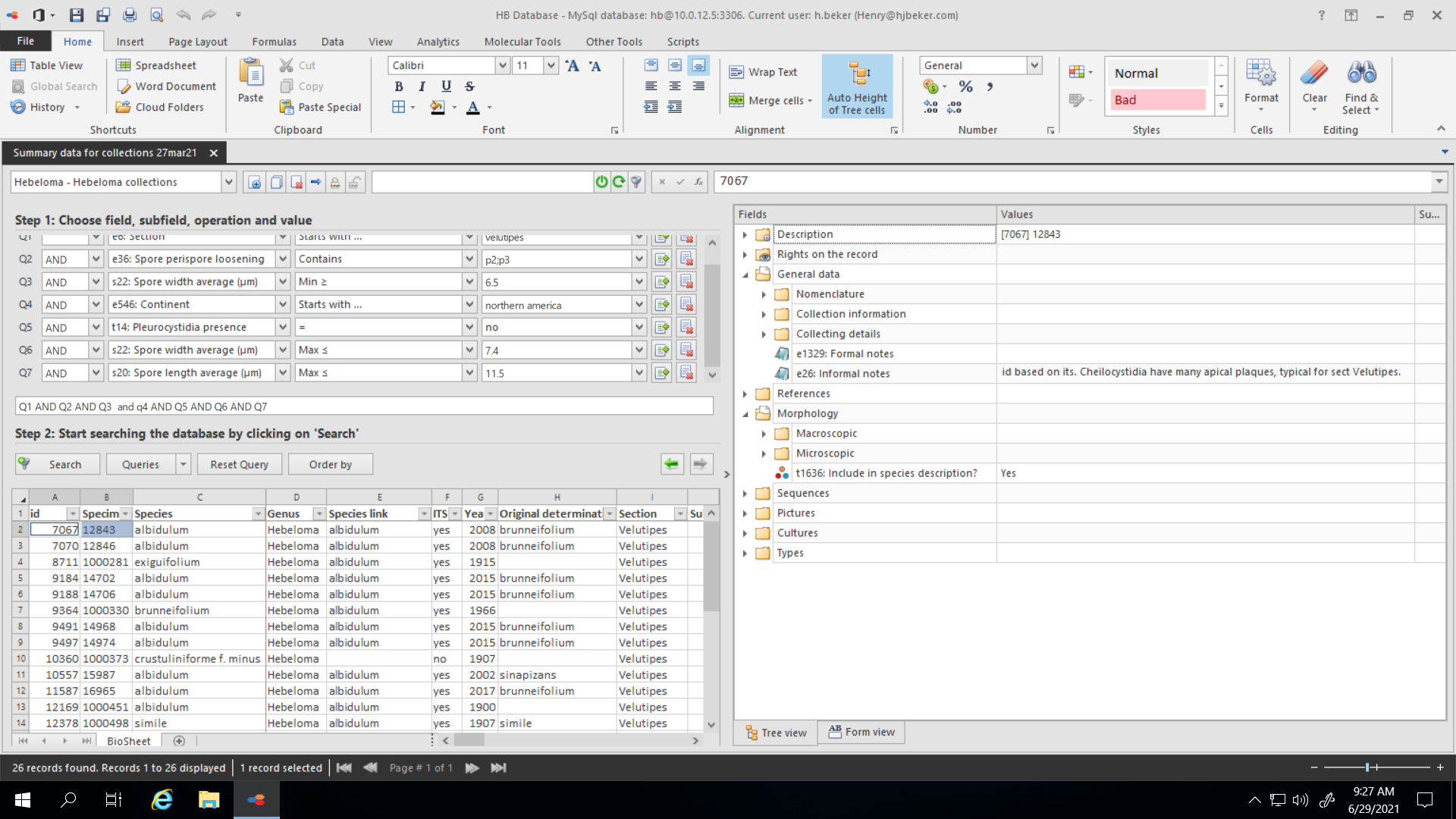 Screenshot of the Hebeloma database