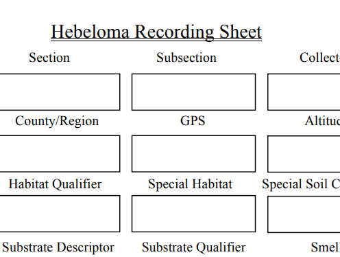 Picture of a recording sheet used in the field to describe Hebeloma
